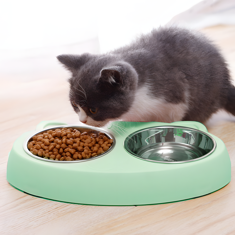 Dual Pet Feeding Bowls with Non-Slip Base and Raised Stand for Cats and Dogs